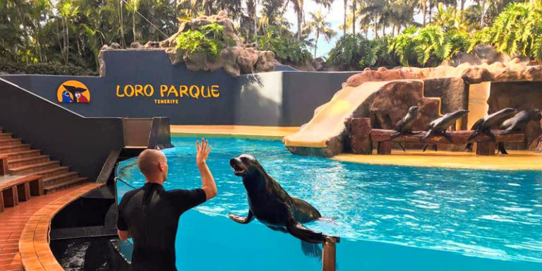 Was Kostet Der Eintritt Im Loro Park www.kanarenzeit.de